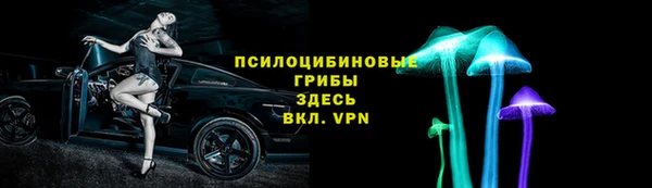 круглые Абаза