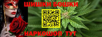 молекула духа Вышний Волочёк