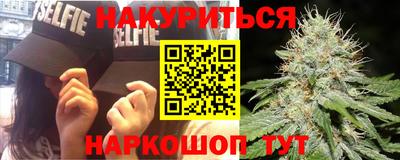 молекула духа Вышний Волочёк