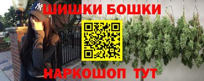 молекула духа Вышний Волочёк